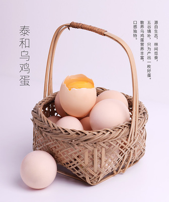 必要商城 大牌品質與工廠價格的家禽養殖新選擇